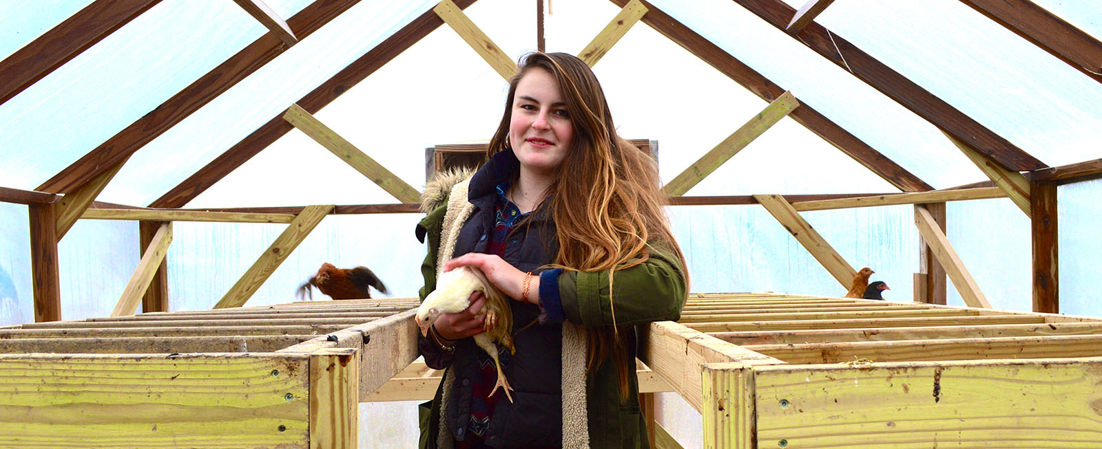A young woman holidng a chicken in a chicken house